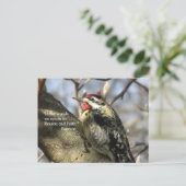 Sapsucker Post Card Briefkaart (Staand voorkant)