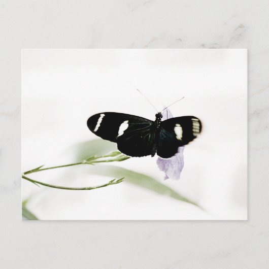 Sara Briefkaart (Voorkant)