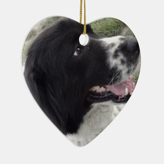 Sara Bulgaria Shepherd Dog Keramisch Ornament (Rechts)