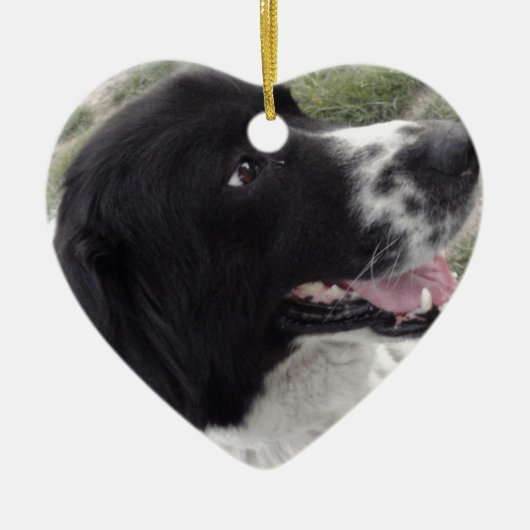 Sara Bulgaria Shepherd Dog Keramisch Ornament (Voorkant)