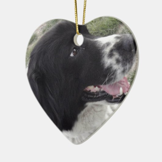 Sara Bulgaria Shepherd Dog Keramisch Ornament (Links)