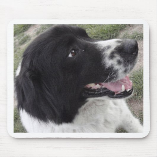 Sara Bulgaria Shepherd Dog Muismat (Voorkant)