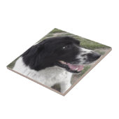 Sara Bulgaria Shepherd Dog Tegeltje (Zijkant)