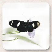 Sara Cork Onderzetter (Voorkant)