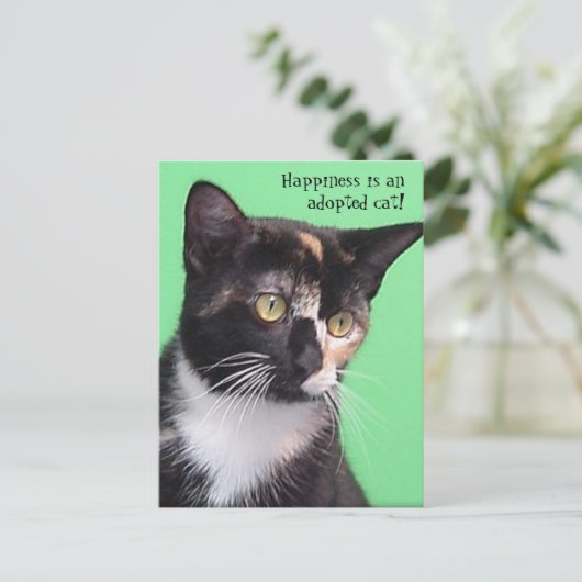 Sara, geluk is een geadopteerde kat! Briefkaart (Staand voorkant)