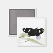 Sara Magnet (Voorkant / Achterkant)