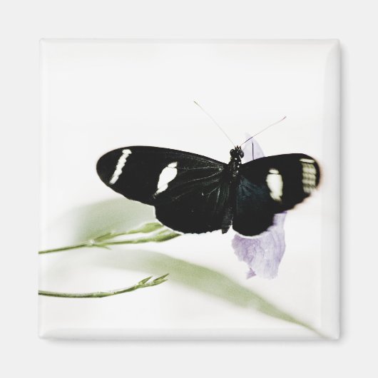 Sara Magnet (Voorkant)