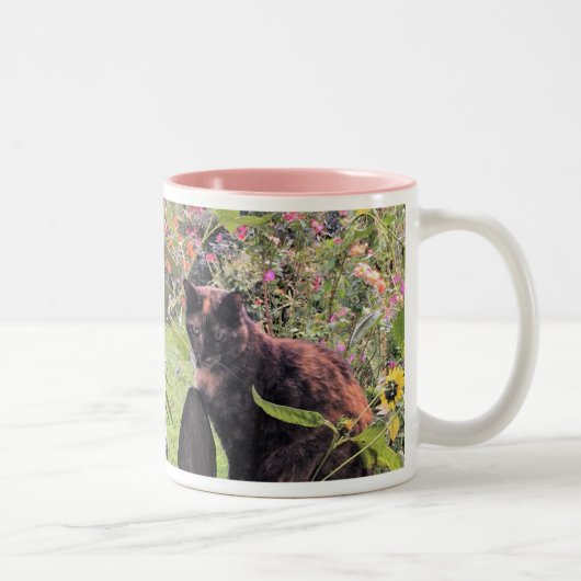 Sara op de Fence Tweekleurige Koffiemok (Rechts)