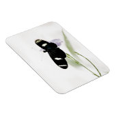 Sara Premium Magnet Magneet (Rechterzijde)