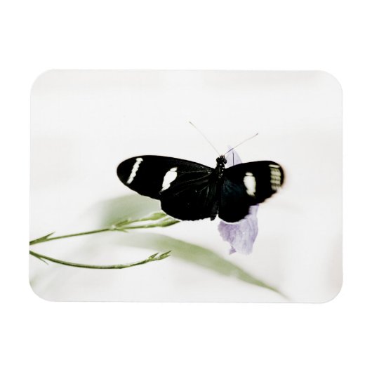Sara Premium Magnet Magneet (Horizontaal)