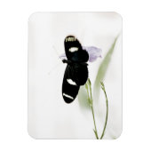 Sara Premium Magnet Magneet (Verticaal)