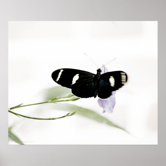 Sara Print (Voorkant)