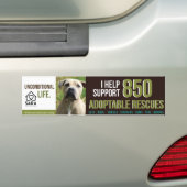 SARA Sanctuary Bumpersticker (Op auto)