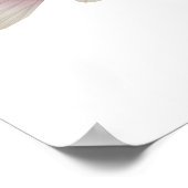 Sarabia cichlid poster (Hoek)