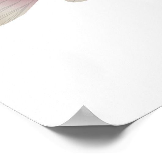 Sarabia cichlid poster (Hoek)