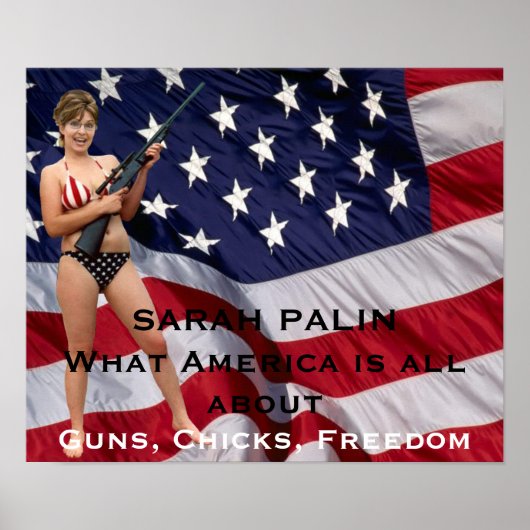 Sarah Palin Pistolen, Chicks, Freedom Poster (Voorkant)