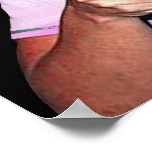 Sarah Palin Poster (Hoek)