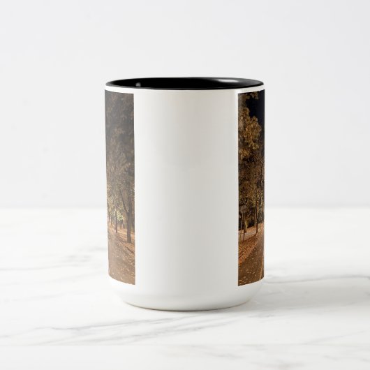 Sarajevo Mok-Geweldig speciaal cadeau idee voor ie Tweekleurige Koffiemok (Center)