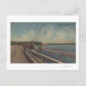 Sarasota, FL - Uitzicht van mensen Gevist Briefkaart (Voorkant)