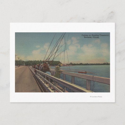 Sarasota, FL - Uitzicht van mensen Gevist Briefkaart (Voorkant)