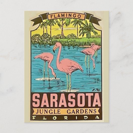Sarasota Flamingo Kaart (Voorkant)