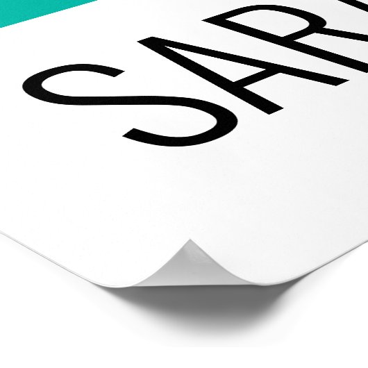 Sarasota Florida 24x36 POSTER (Hoek)