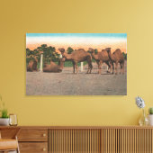Sarasota, Florida - Camels bij Ringling Bros Canvas Afdruk (Insitu (Woonkamer))