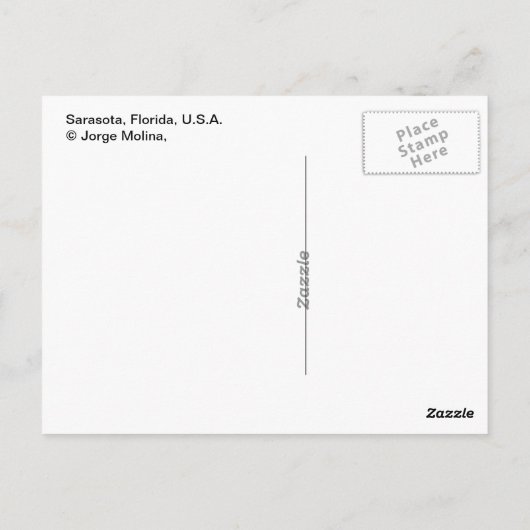 Sarasota, Florida, VS Briefkaart (Achterkant)
