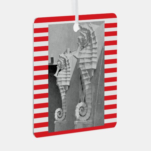 Sarasota Zee paard Ornament (Voorkant Rechts)