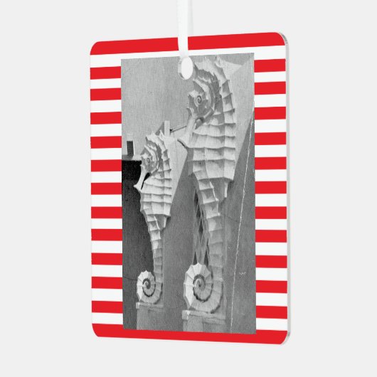 Sarasota Zee paard Ornament (Voorkant links)