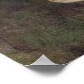 Saraswati poster (Hoek)