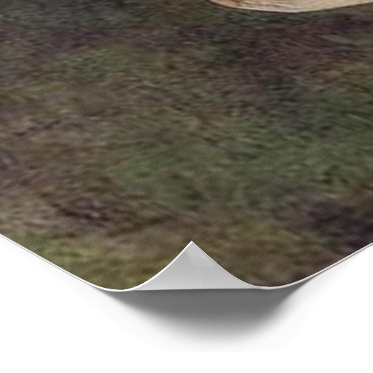 Saraswati poster (Hoek)