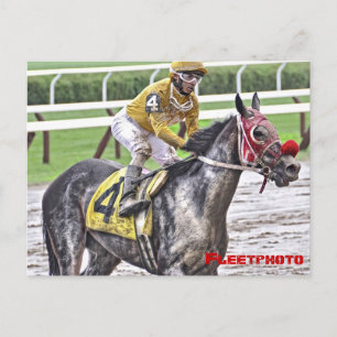 Saratoga 150 Kunstfoto's Briefkaart