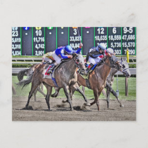 Saratoga Horse Racing Briefkaart