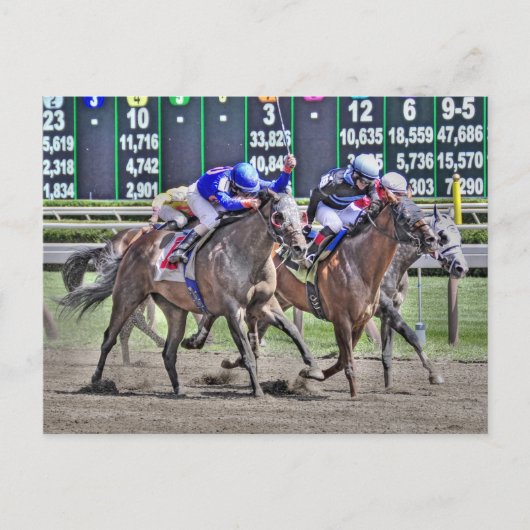 Saratoga Horse Racing Briefkaart (Voorkant)