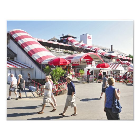 Saratoga Race Course Foto Afdruk (Voorkant)