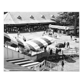 Saratoga Race Course Foto Afdruk