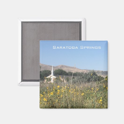 Saratoga Springs Magneet (Voorkant / Achterkant)