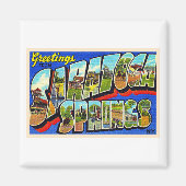 Saratoga Springs New York NY Large Letter Briefkaa Magneet (Voorkant)