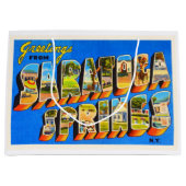 Saratoga Springs New York NY Old Travel Souvenir Large Cadeautasje (Voorkant)