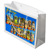 Saratoga Springs New York NY Old Travel Souvenir Large Cadeautasje (Achterkant Gekanteld)