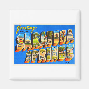 Saratoga Springs New York NY Old Travel Souvenir Magneet