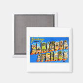 Saratoga Springs New York NY Oud reissouvenir Magneet (Voorkant / Achterkant)