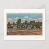 Saratoga Springs, NY - Horse Race Track Scene Briefkaart (Voorkant)