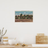 Saratoga Springs, NY - Horse Race Track Scene Poster (Keuken)