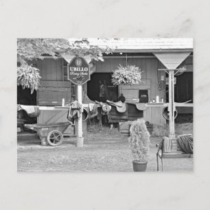 Saratoga Stables "Horse Haven" Briefkaart