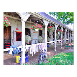 Saratoga Stables "Horse Haven" Foto Afdruk