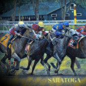 Saratoga-wedstrijdfles Waterfles