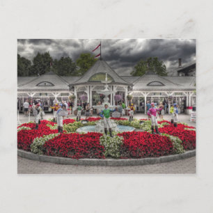 Saratoga's 12 graszoenen briefkaart