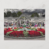 Saratoga's 12 Stakes Winners.jpg Briefkaart (Voorkant)